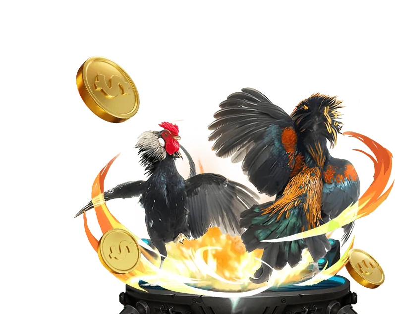 Đá Gà Trực Tuyến 8kbet cc